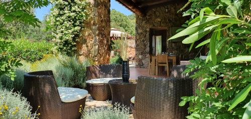 Iekārtas, Domaine Codaleone in Serjēra