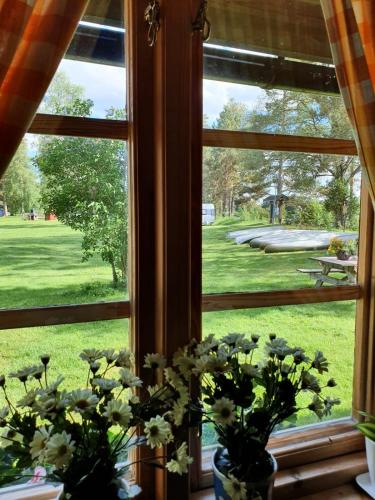 景观, Nås Camping Dalarna, stuga nr 6 (Nas Camping Dalarna, stuga nr 6) in 法伦市中心
