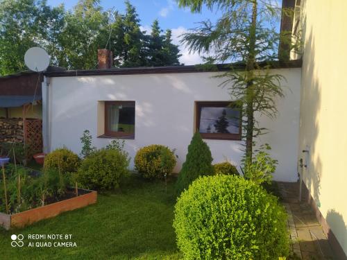 Apartament Gniezno - Mnichowo