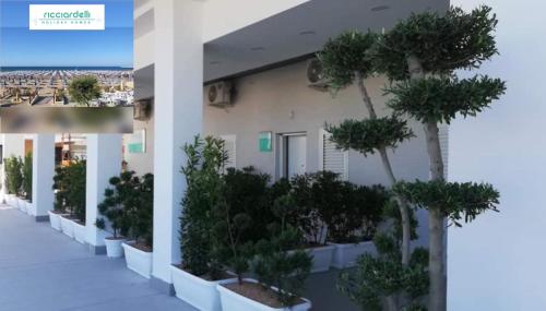 RICCIARDELLI HOLIDAY HOMES in paese di fronte al Mare in Vieste