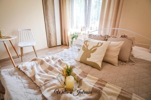 Willa u Jedrusia Zakopane