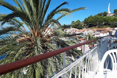 Palm tree studio, Podgora
