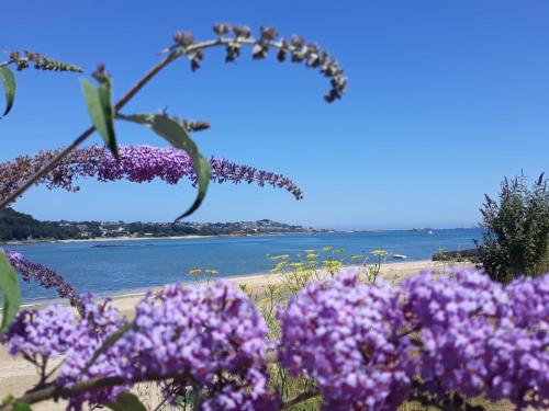 TY ANN maison avec jardin clos de mur, à proximité des commerces et à 3km des plages