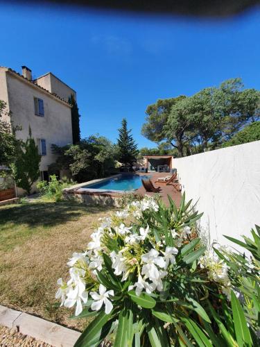 La cigale et la fourmi - Pension de famille - Nîmes