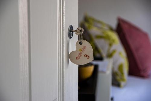 Apple Tree Bed and Breakfast - image 5