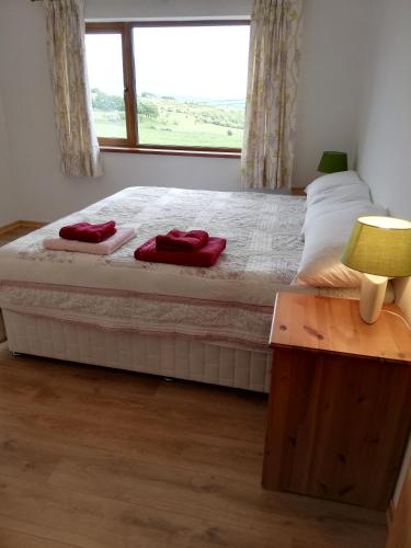 Peace and Tranquility in Ballymote