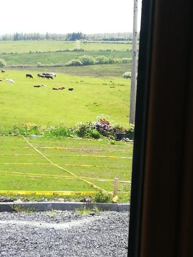 Peace and Tranquility in Ballymote