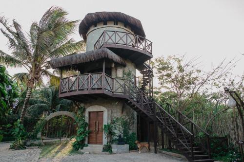 Bejárat, Paua Hotel Boutique in Dél-Tibau