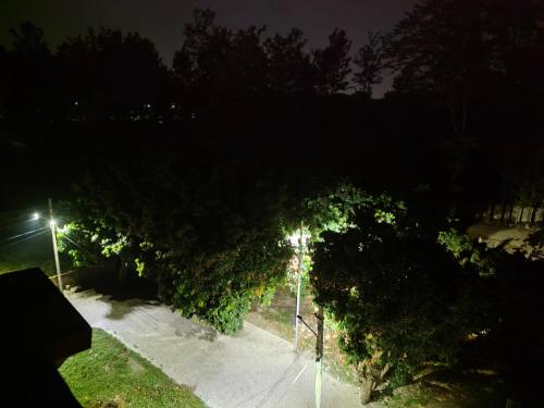 Nature View Homestay