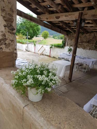 Mas Rubió - image 10