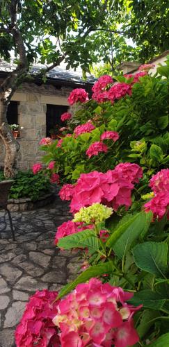 Photo - Villa Fortuna