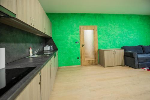 Konyha, Apartmány pod Jeřábem, Šanov 67, Červená Voda (Apartmany pod Jerabem, Sanov 67, Cervena Voda) in Šanov