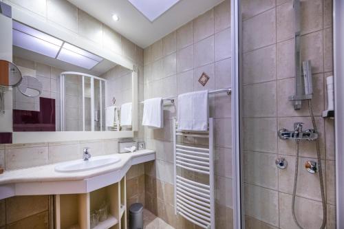 Residence Hotel Balaton - image 14