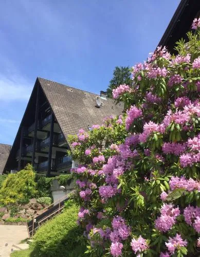 Panorama Point in Sasbachwalden, Deutschland