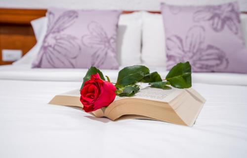 1 queen bed