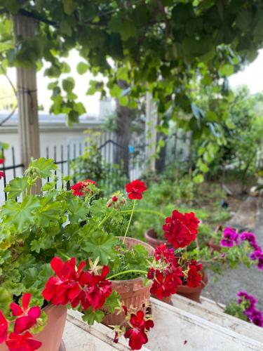 Apartments Katarina - image 11