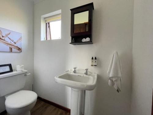 Endless Vineyards at Wildekrans Wine Estate Endless Vineyards at Wildekrans Wine Estate