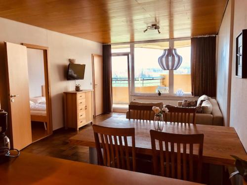 Panoramic Apartments Hohegeiß in Braunlage