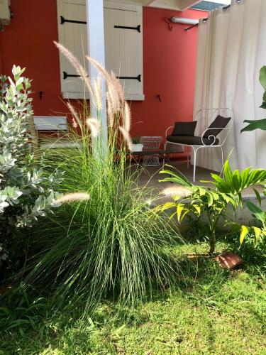 Faciliteter, Colibri Garden in Baie-Mahault