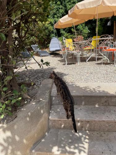 Auberge De Cucugnan photo 19