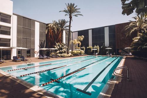 Las Gaviotas Suites Hotel & Spa - image 8