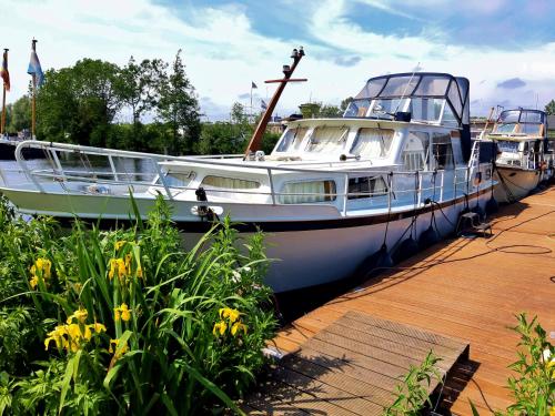 Motor Yacht Amstelle, Amsterdam (photo 10)