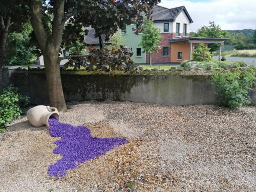 Tess's Guest House R95K6N1 This Property is unsuitable for children under 12 years old in Kilkenny