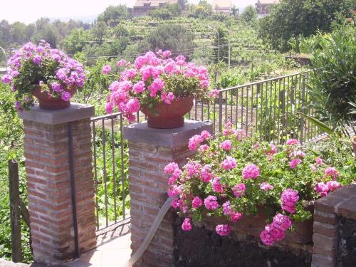 B&B Villa Dagala - image 10