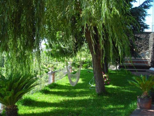 B&B Villa Dagala - image 12