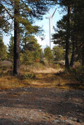 Lusæter Timber Cabins - image 2