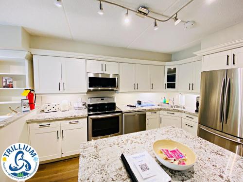 Chateau Blue - Mountain View, Steps to the Village, Wifi, Linens/Towels, BBQ