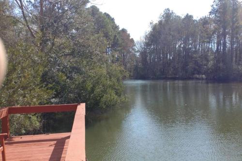 The Lake House at Turtle Cove: Cozy relaxing lake home with dock on wooded lot.