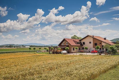 Lux Living Apartments BUDIČ near Terme Čatež - Brežice