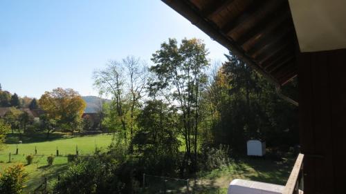 FeWo mit Balkon direkt am Wald und Wanderweg Ruhe pur 2 OG, Bad Sachsa (Foto 8)