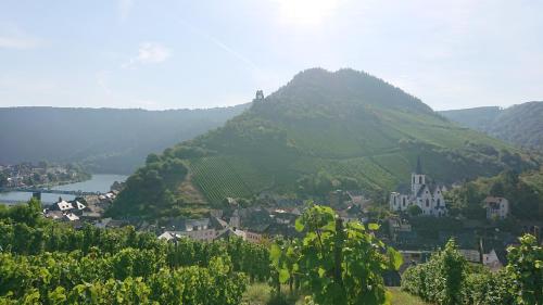 Kleine Moselruhe - Gemutliche Ferienwohnung bis 3 Personen - Zentral in Traben-Trarbach 2.8km von Bad Wildstein entfernt