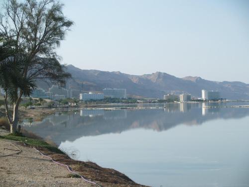 Surrounding environment, Zimmer Arad Dead Sea in Arad
