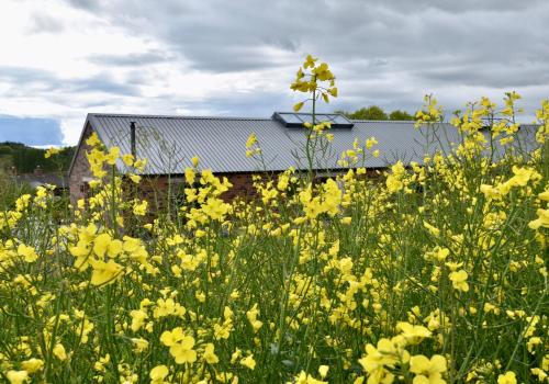 Birchbank at Chesters Farm