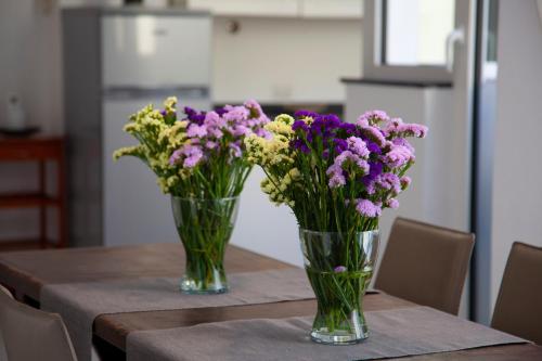 Casa del Plebiscito - image 13