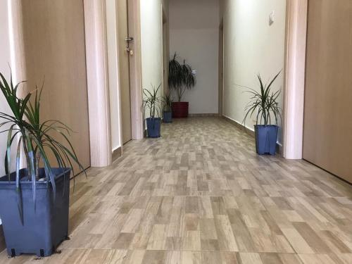 Studio Apartment with Sea View image 10