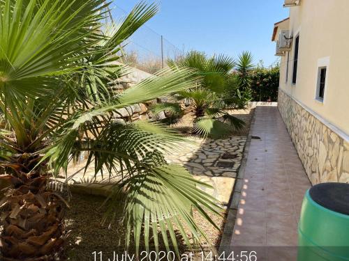  Casa Pearl in Arboleas