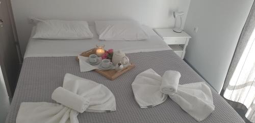 Hotel Anezina - image 4