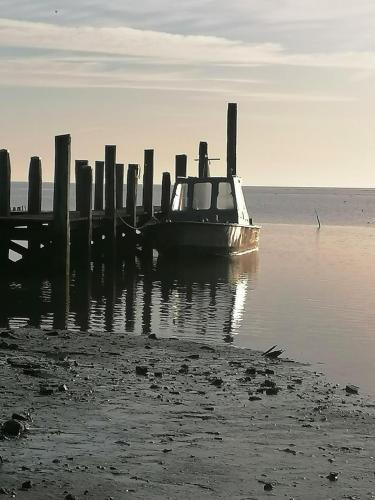 DOCK10TEXEL, De Cocksdorp (fotografie 8)