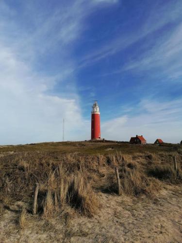 DOCK10TEXEL, De Cocksdorp (fotografie 9)