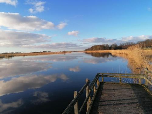 DOCK10TEXEL