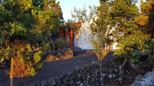 Casa da estrela canopus in Faial Horta