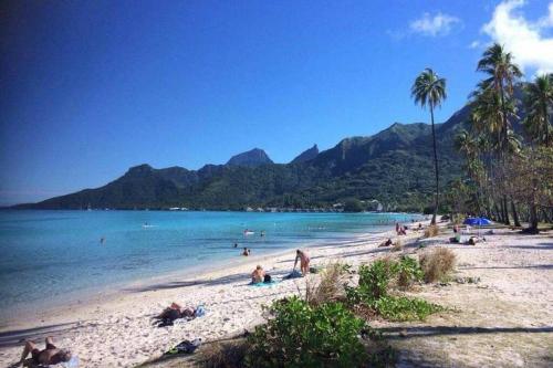 Fare Totara, jardin verdoyant in Te'avaro
