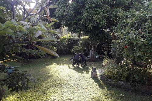 Fare Totara, jardin verdoyant in Te'avaro