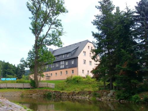 Modernly furnished apartment in the Ore Mountains with use of garden