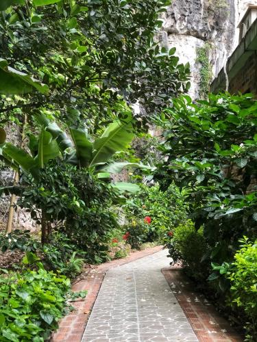 塔姆科克大自然山林小屋 塔姆科克大自然山林小屋