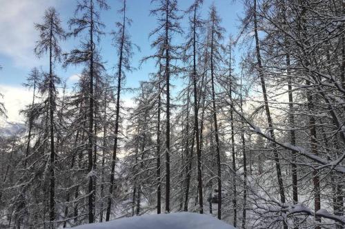 Le Petit Aupillon - L'Aupillon des Forêts - 2 studios cocooning aux Orres Le Petit Aupillon - L'Aupillon des Forêts - 2 studios cocooning aux Orres